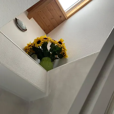 Διαμέρισμα Haus Seewind Warnemuende